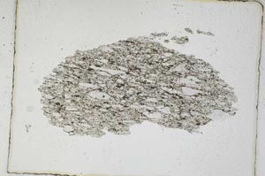 Plane Polarized, S4054