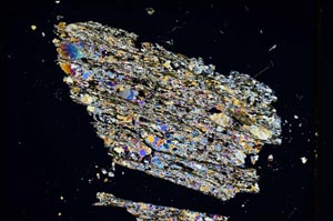 Cross Polarized, S4055