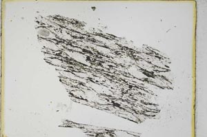 Plane Polarized, S4055