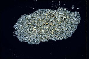 Cross Polarized, S4056