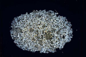 Cross Polarized, S4058