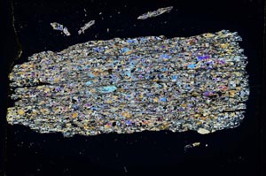 Cross Polarized, S4060