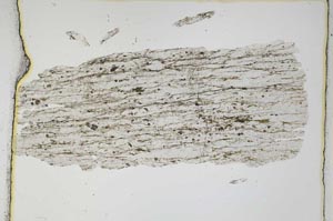 Plane Polarized, S4060