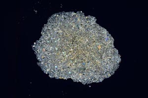 Cross Polarized, S4065