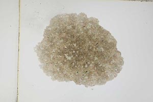 Plane Polarized, S4065