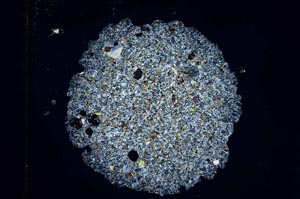 Cross Polarized, S4066