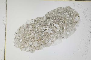 Plane Polarized, S4067