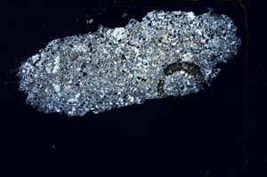 Cross Polarized, S4069