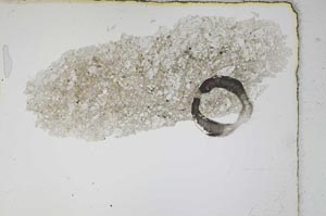 Plane Polarized, S4069