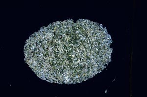 Cross Polarized, S4071