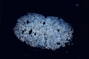 Cross Polarized, S4072