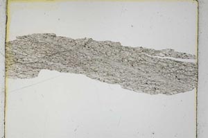 Plane Polarized, S4097
