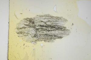 Plane Polarized, S4112