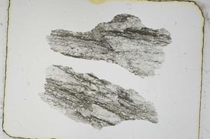 Plane Polarized, S4112/a