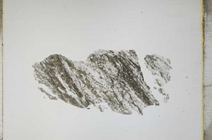 Plane Polarized, S4114