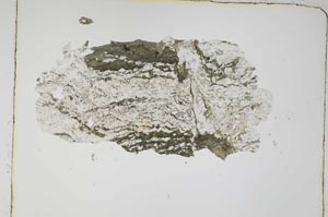 Plane Polarized, S4148