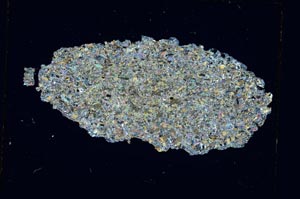 Cross Polarized, S4156