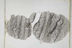 Plane Polarized, S4174