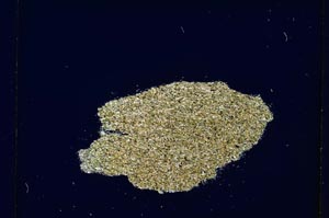 Cross Polarized, S4175