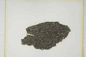 Plane Polarized, S4175