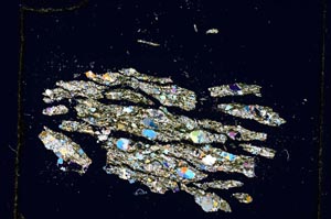 Cross Polarized, S4177