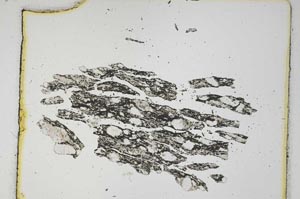 Plane Polarized, S4177