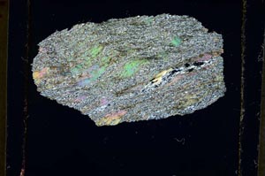 Cross Polarized, S4177/A