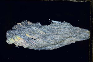 Cross Polarized, S4177/B