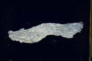 Cross Polarized, S4177/B1