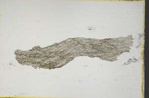 Plane Polarized, S4177/B1