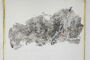 Plane Polarized, S4184