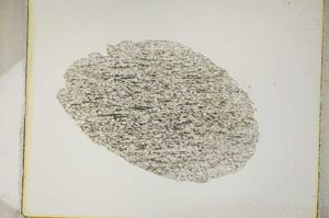 Plane Polarized, S4189