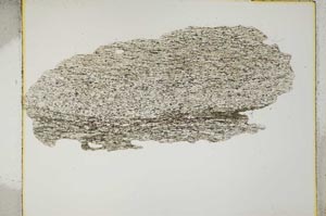 Plane Polarized, S4190