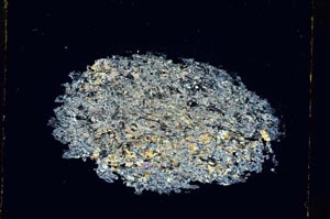 Cross Polarized, S4191