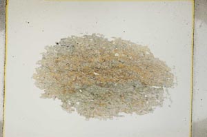 Plane Polarized, S4191