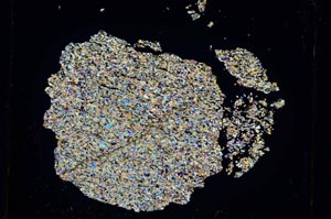 Cross Polarized, S4195