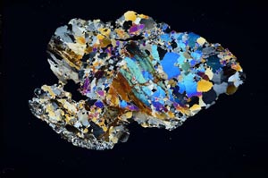 Cross Polarized, S4198