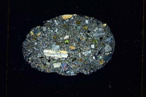 Cross Polarized, S4203