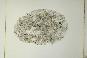 Plane Polarized, S4203