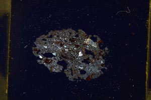 Cross Polarized, S4210