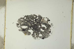 Plane Polarized, S4210