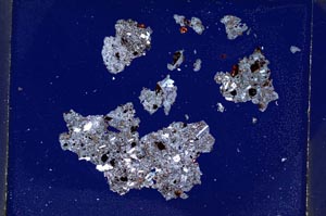 Cross Polarized, S4210/a