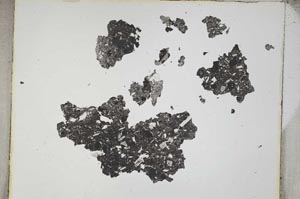 Plane Polarized, S4210/a