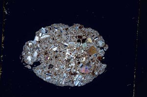 Cross Polarized, S4212