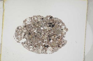 Plane Polarized, S4212