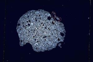 Cross Polarized, S4222