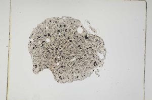 Plane Polarized, S4222