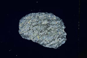 Cross Polarized, S4231