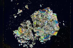 Cross Polarized, S4251