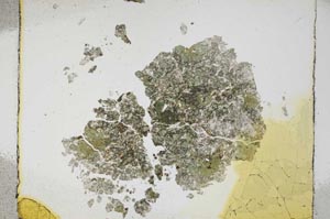 Plane Polarized, S4251